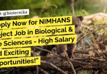 Apply Now for NIMHANS Project Job in Biological & Life Sciences – High Salary and Exciting Opportunities! NIMHANS Biological & Life Sciences Project Job Opening - Apply Online