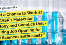 Get a Chance to Work at JNCASR’s Molecular Biology and Genetics Unit – Exciting Job Opening for Life Sciences Enthusiasts! JNCASR Life Sciences Project Job Recruitment