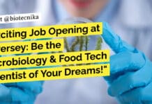 Exciting Job Opening at Diversey: Be the Microbiology & Food Tech Scientist of Your Dreams! "Exciting Job Opening at Diversey: Be the Microbiology & Food Tech Scientist of Your Dreams!"