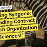 "Unveiling Syngene: The Leading Contract Research Organization in Life Sciences!"