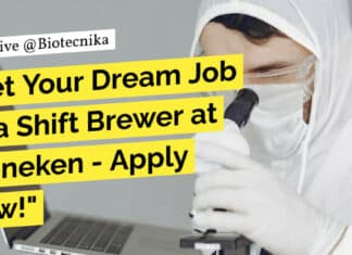 Get Your Dream Job as a Shift Brewer at Heineken – Apply Now! "Get Your Dream Job as a Shift Brewer at Heineken - Apply Now!"
