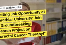 Exciting Job Opportunity at Bharathiar University: Join the Groundbreaking Research Project on Colorectal Cancer Therapy! "Exciting Job Opportunity at Bharathiar University: Join the Groundbreaking Research Project on Colorectal Cancer Therapy!"