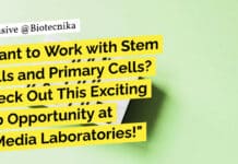 "Want to Work with Stem Cells and Primary Cells? Check Out This Exciting Job Opportunity at HiMedia Laboratories!"