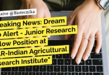 Dream Job Alert – Junior Research Fellow Position at ICAR-Indian Agricultural Research Institute ICAR-IARI Biotech Vacancy 2023 - Apply For JRF Post