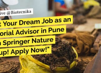 "Get Your Dream Job as an Editorial Advisor in Pune with Springer Nature Group! Apply Now!"