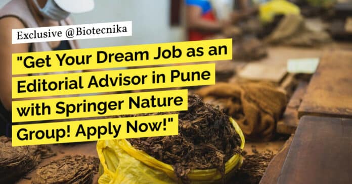 "Get Your Dream Job as an Editorial Advisor in Pune with Springer Nature Group! Apply Now!"