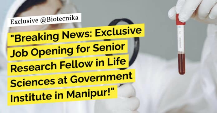 "Breaking News: Exclusive Job Opening for Senior Research Fellow in Life Sciences at Government Institute in Manipur!" "Breaking News: Exclusive Job Opening for Senior Research Fellow in Life Sciences at Government Institute in Manipur!"