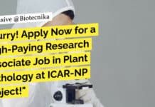 ICAR-IARI Bioinformatics Research Job - Attend Walk-In-Interview