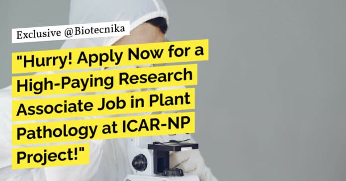 ICAR-IARI Bioinformatics Research Job - Attend Walk-In-Interview