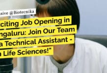 BSc Job Openings NIMHANS – Biological & Life Sciences Technical Assistant Recruitment "Exciting Job Opening in Bengaluru: Join Our Team as a Technical Assistant - II in Life Sciences!"