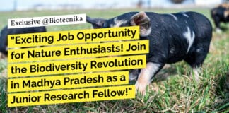 IISER Kolkata JRF Opening - MSc Life Sciences & Botany Apply