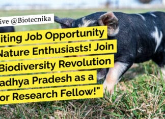 IISER Kolkata JRF Opening - MSc Life Sciences & Botany Apply