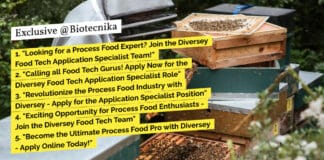 1. "Looking for a Process Food Expert? Join the Diversey Food Tech Application Specialist Team!" 2. "Calling all Food Tech Gurus! Apply Now for the Diversey Food Tech Application Specialist Role" 3. "Revolutionize the Process Food Industry with Diversey - Apply for the Application Specialist Position" 4. "Exciting Opportunity for Process Food Enthusiasts - Join the Diversey Food Tech Team" 5. "Become the Ultimate Process Food Pro with Diversey - Apply Online Today!"