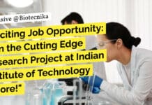 Exciting Job Opportunity: Join the Cutting Edge Research Project at Indian Institute of Technology Indore! IIT Indore Biotech Job - Life Sciences, Biochem & Microbiology Apply
