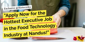 Nandus Food Technology Job - BSc & MSc Candidates Apply Online