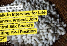 Walk-In Interview for Life Sciences Project: Join Central Silk Board’s Exciting YP-I Position Now! Govt Silk Board Vacancy - Life Sciences Project Recruitment - Walk-In Interview