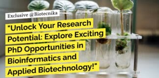 IBAB Research Positions Leading to a PhD degree
