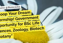 Scoop Your Dream Internship! Government Opportunity for BSc Life Sciences, Zoology, Biotech & Botany Govt Internship Life Sciences, Zoology, Biotech & Botany For BSc, Attend Walk-In-Interview