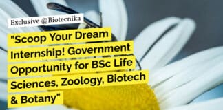 Govt Internship Life Sciences, Zoology, Biotech & Botany For BSc, Attend Walk-In-Interview