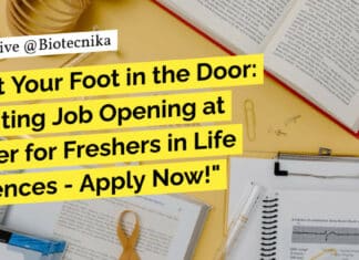 "Get Your Foot in the Door: Exciting Job Opening at Pfizer for Freshers in Life Sciences - Apply Now!"
