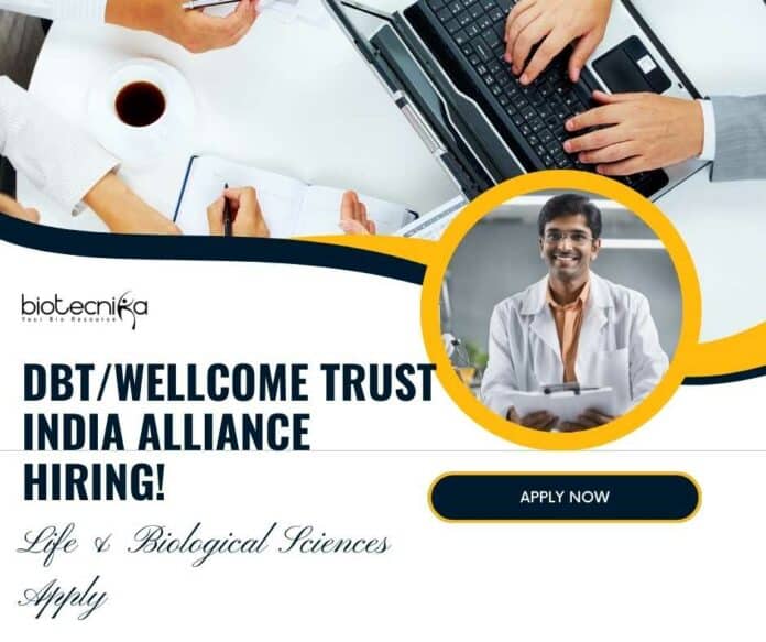 Communications Consultant Job