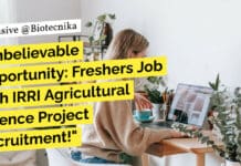 IRRI Agricultural Science Project Post Recruitment