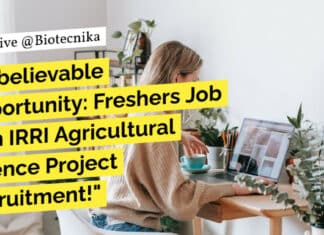 IRRI Agricultural Science Project Post Recruitment