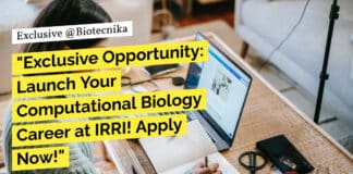 "Exclusive Opportunity: Launch Your Computational Biology Career at IRRI! Apply Now!"