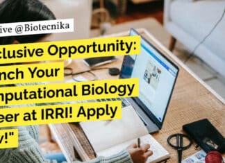 "Exclusive Opportunity: Launch Your Computational Biology Career at IRRI! Apply Now!"