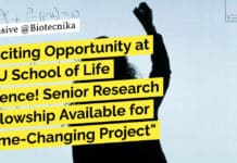 Exciting Opportunity at JNU School of Life Science! Senior Research Fellowship Available for Game-Changing Project "Exciting Opportunity at JNU School of Life Science! Senior Research Fellowship Available for Game-Changing Project"