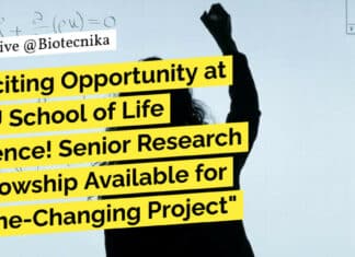 "Exciting Opportunity at JNU School of Life Science! Senior Research Fellowship Available for Game-Changing Project"