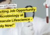 "Exciting Job Opportunity in Microbiology at Immacule Lifescience - Apply Now!"