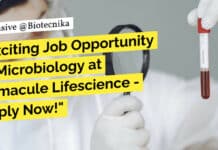 Exciting Job Opportunity in Microbiology at Immacule Lifescience – Apply Now! "Exciting Job Opportunity in Microbiology at Immacule Lifescience - Apply Now!"