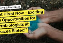 Freshers Get Hired Now – Exciting Job Opportunities for Microbiologists at Panacea Biotec! Freshers Microbiology Jobs Panacea Biotec - BSc & MSc Apply