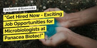 Freshers Microbiology Jobs Panacea Biotec - BSc & MSc Apply