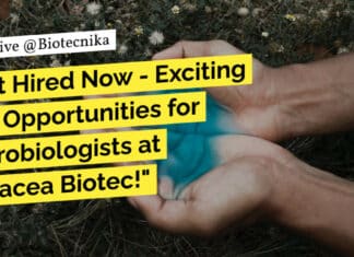 Freshers Microbiology Jobs Panacea Biotec - BSc & MSc Apply