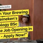 Unleash Your Brewing Skills! Heineken’s Microbiology BSc Associate Job Opening in Chennai – Apply Now! "Unleash Your Brewing Skills! Heineken's Microbiology BSc Associate Job Opening in Chennai - Apply Now!"