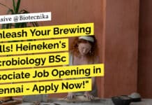 Unleash Your Brewing Skills! Heineken’s Microbiology BSc Associate Job Opening in Chennai – Apply Now! "Unleash Your Brewing Skills! Heineken's Microbiology BSc Associate Job Opening in Chennai - Apply Now!"
