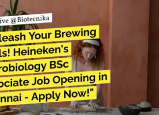 "Unleash Your Brewing Skills! Heineken's Microbiology BSc Associate Job Opening in Chennai - Apply Now!"
