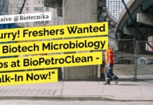 Hurry! Freshers Wanted for Biotech Microbiology Jobs at BioPetroClean – Walk-In Now! Freshers Biotech Microbiology Jobs at BioPetroClean - Attend Walk-In