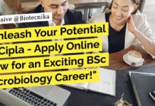 Unleash Your Potential at Cipla – Apply Online Now for an Exciting BSc Microbiology Career! "Unleash Your Potential at Cipla - Apply Online Now for an Exciting BSc Microbiology Career!"