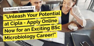 "Unleash Your Potential at Cipla - Apply Online Now for an Exciting BSc Microbiology Career!"