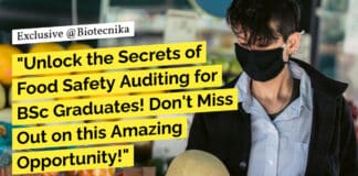 "Unlock the Secrets of Food Safety Auditing for BSc Graduates! Don't Miss Out on this Amazing Opportunity!"