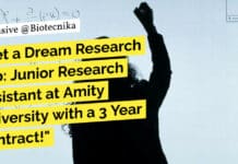 Get a Dream Research Job: Junior Research Assistant at Amity University with a 3 Year Contract! "Get a Dream Research Job: Junior Research Assistant at Amity University with a 3 Year Contract!"