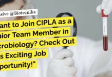 Want to Join CIPLA as a Junior Team Member in Microbiology? Check Out This Exciting Job Opportunity! CIPLA BSc Microbiology Vacancy - Apply Online Now
