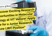 Discover Exciting Research Opportunities in Molecular Biology at VIT Vellore! Apply Now for a Junior Research Fellow (JRF) Position "Discover Exciting Research Opportunities in Molecular Biology at VIT Vellore! Apply Now for a Junior Research Fellow (JRF) Position"