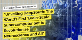 "Unveiling DeepSouth: The World’s First 'Brain-Scale' Supercomputer Set to Revolutionize Neuroscience and AI!"