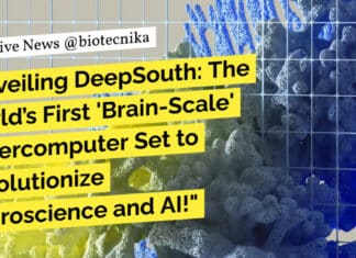 "Unveiling DeepSouth: The World’s First 'Brain-Scale' Supercomputer Set to Revolutionize Neuroscience and AI!"