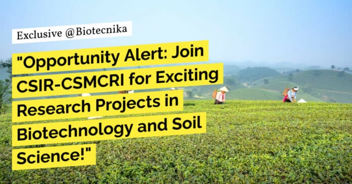 "Opportunity Alert: Join CSIR-CSMCRI for Exciting Research Projects in Biotechnology and Soil Science!" "Opportunity Alert: Join CSIR-CSMCRI for Exciting Research Projects in Biotechnology and Soil Science!"