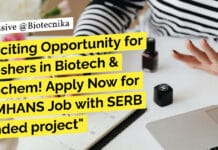 Exciting Opportunity for Freshers in Biotech & Biochem! Apply Now for NIMHANS Job with SERB funded project "Exciting Opportunity for Freshers in Biotech & Biochem! Apply Now for NIMHANS Job with SERB funded project"